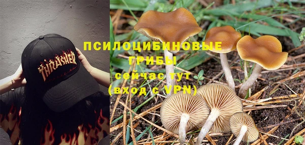 кокс Баксан