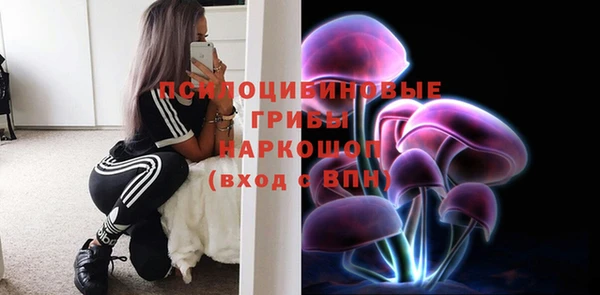 гашик Армянск