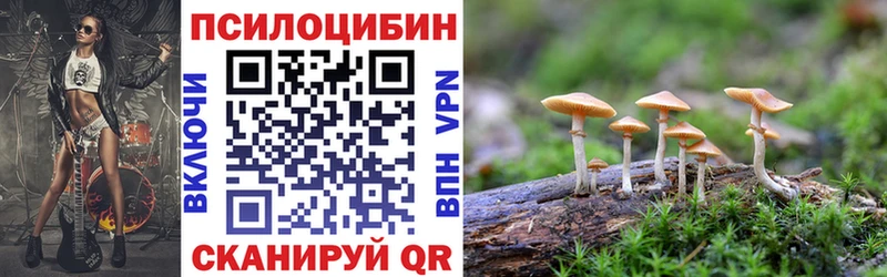 сколько стоит  Солигалич  Галлюциногенные грибы мухоморы 
